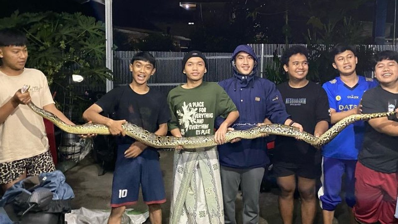 Munculnya ular sanca sepanjang 3,5 meter di Cianjur meningkatkan kekhawatiran warga, Satpol PP dan Damkar mengimbau peningkatan kewaspadaan.