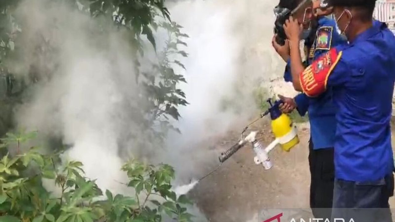 Dinas Kesehatan Lampung Selatan melaporkan satu kematian akibat DBD dan 115 kasus lainnya, serta menggencarkan sosialisasi dan fogging untuk pencegahan.