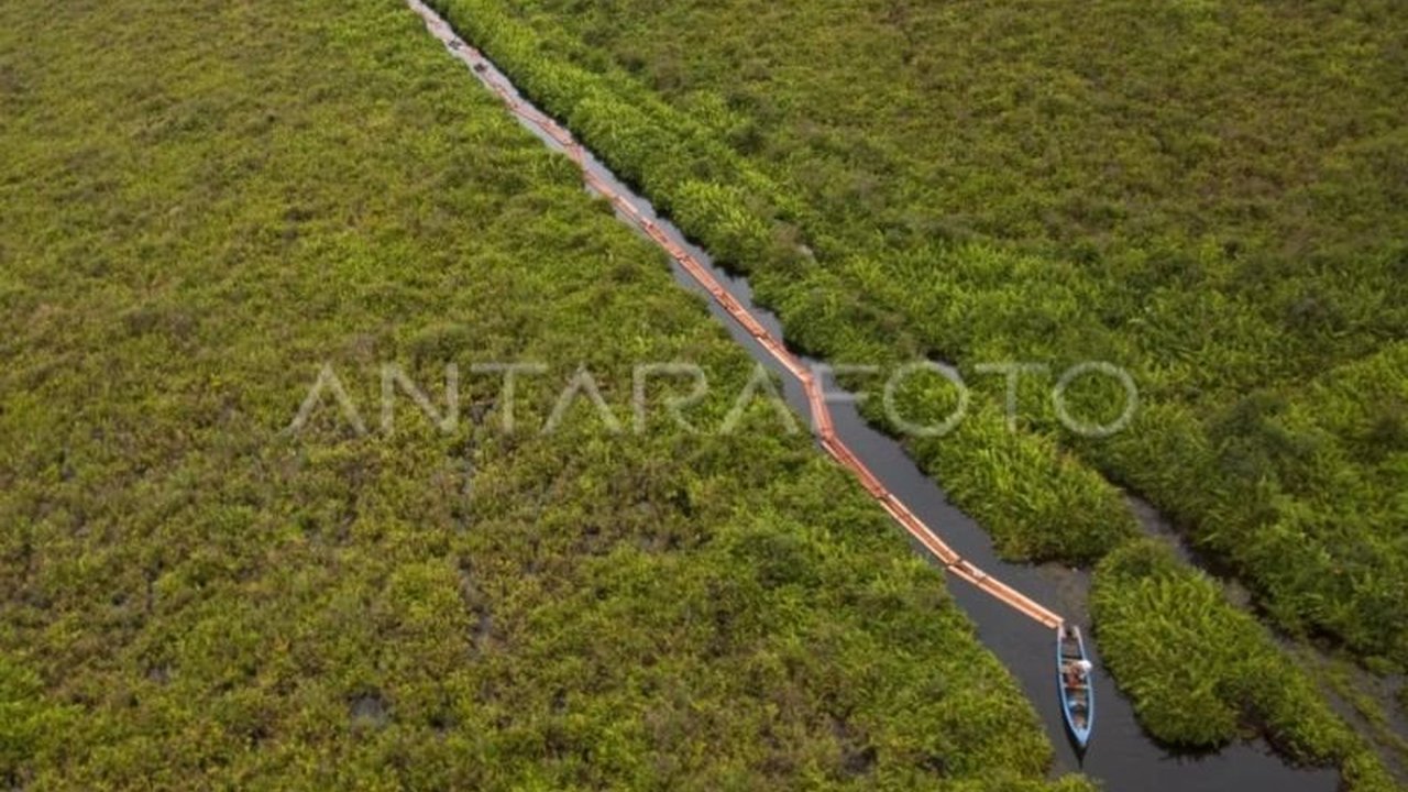Sejumlah organisasi lingkungan mendesak revisi UU Kehutanan agar lebih holistik, progresif, dan partisipatif dalam mengatasi deforestasi, konflik agraria, dan penegakan hukum.
