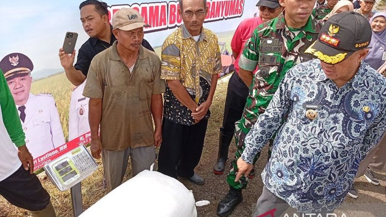 Bupati Banyumas Ajak Petani Jual Gabah ke Bulog, Harga Rp6.500/kg