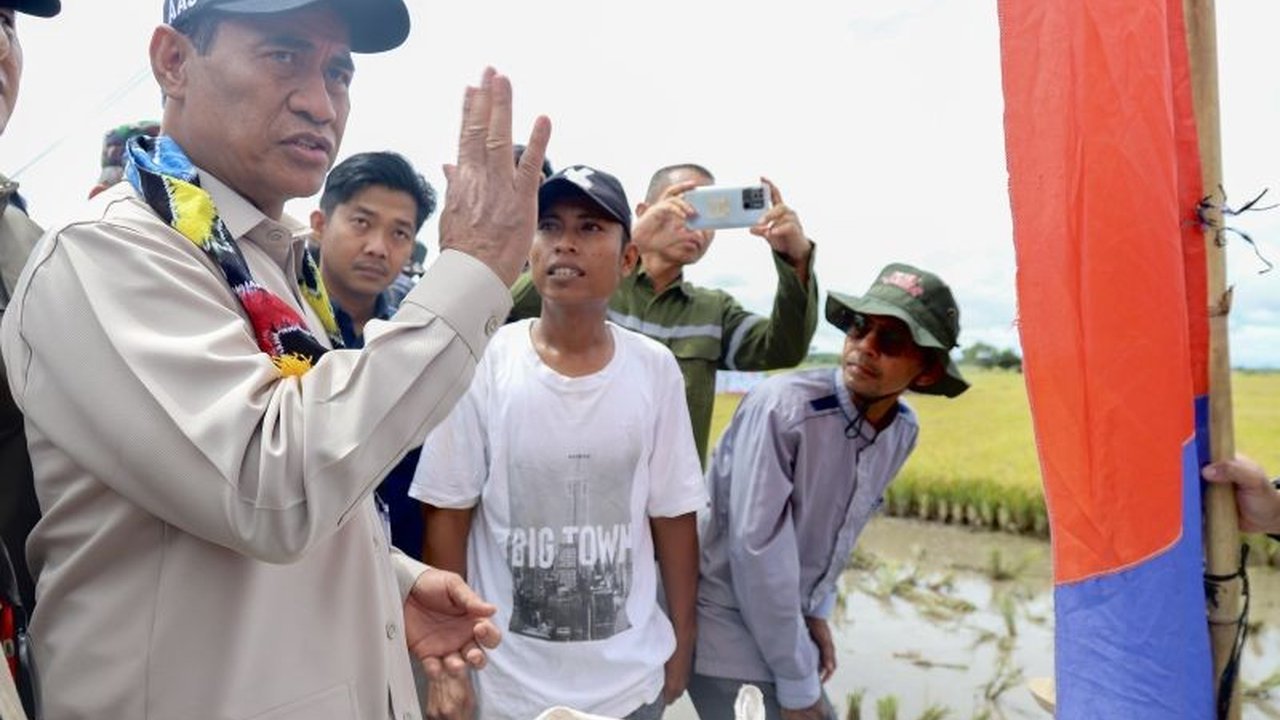 Menteri Pertanian optimis Kalimantan Selatan dapat meningkatkan produksi padi hingga tiga kali setahun dan menjadi lumbung pangan nasional berkat potensi lahan sawah yang luas dan program pemerintah.