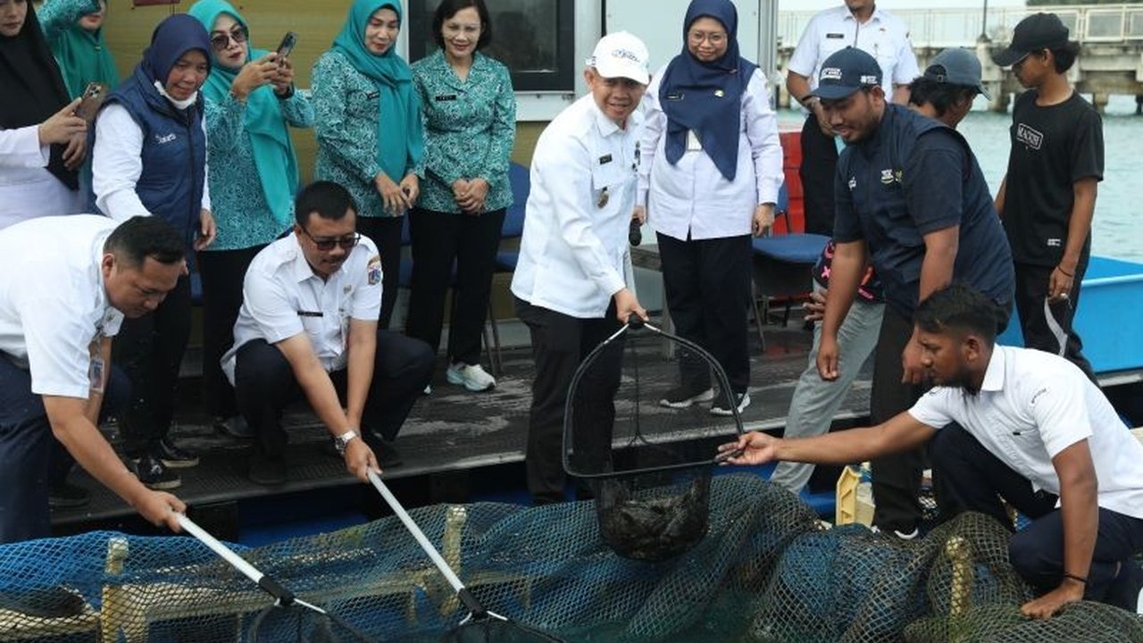 Pemerintah Kabupaten Kepulauan Seribu berhasil memanen 700 ekor ikan kerapu, sekitar 525 kg, untuk mendukung ketahanan pangan menjelang Idul Fitri 1446 H.