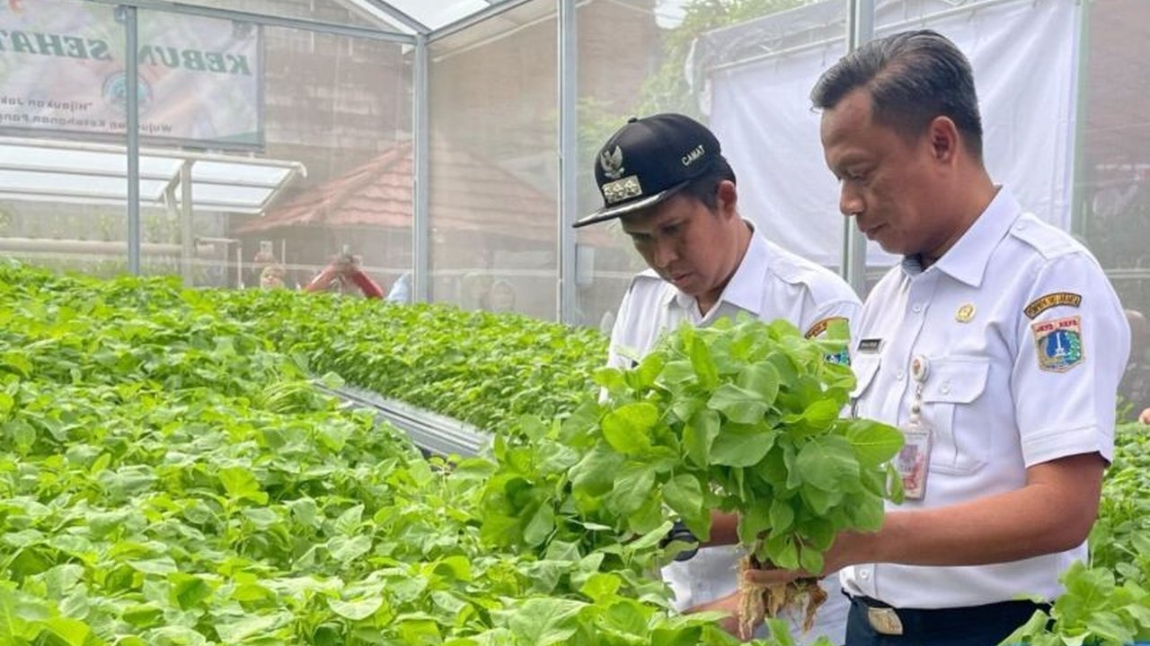 Pemerintah Kota Jakarta Selatan menggelar panen raya di 58 lokasi, memanfaatkan lahan sempit untuk ketahanan pangan dan menekan inflasi, dengan hasil panen mencapai 500 kg bahan pangan.