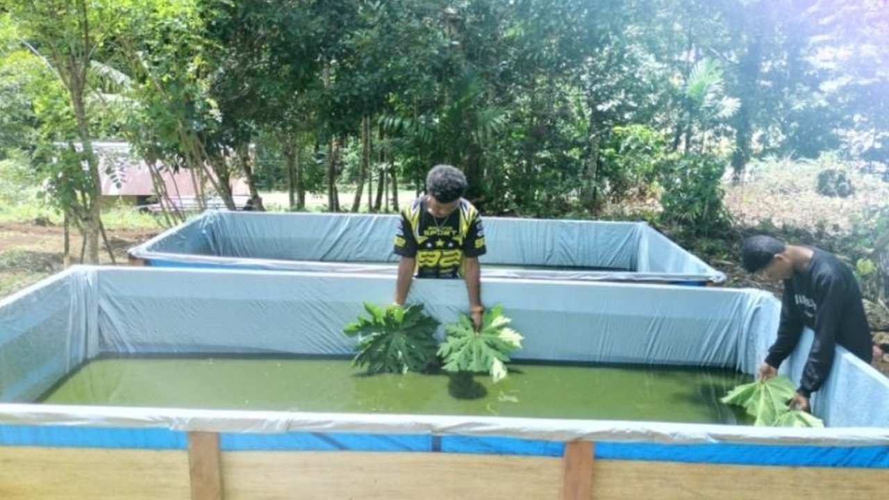 Program TMMD ke-123 di Kampung Kbusdori, Biak Numfor, Papua, berhasil meningkatkan perekonomian warga melalui budidaya ikan lele yang memberikan tambahan penghasilan dan membuka peluang usaha.