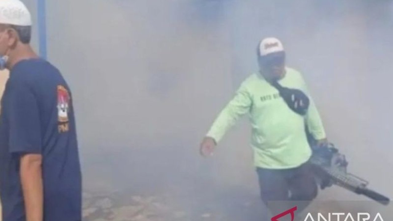 40 Kasus DBD di Palembang hingga Pekan Ketiga Ramadhan, Dinkes Lakukan Fogging Gratis