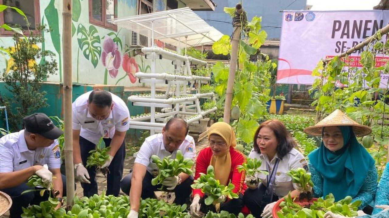 Pemkot Jakbar berhasil panen ratusan kilogram ikan dan sayuran di 30 lokasi, menunjang ketahanan pangan menjelang Idul Fitri 1446 H.