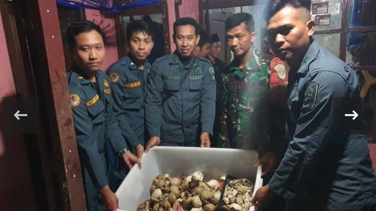 Kementerian Kehutanan menggagalkan perdagangan ilegal puluhan bagian tubuh satwa dilindungi secara daring dari Indonesia ke AS dan Inggris, menangkap dua pelaku di Sukabumi.