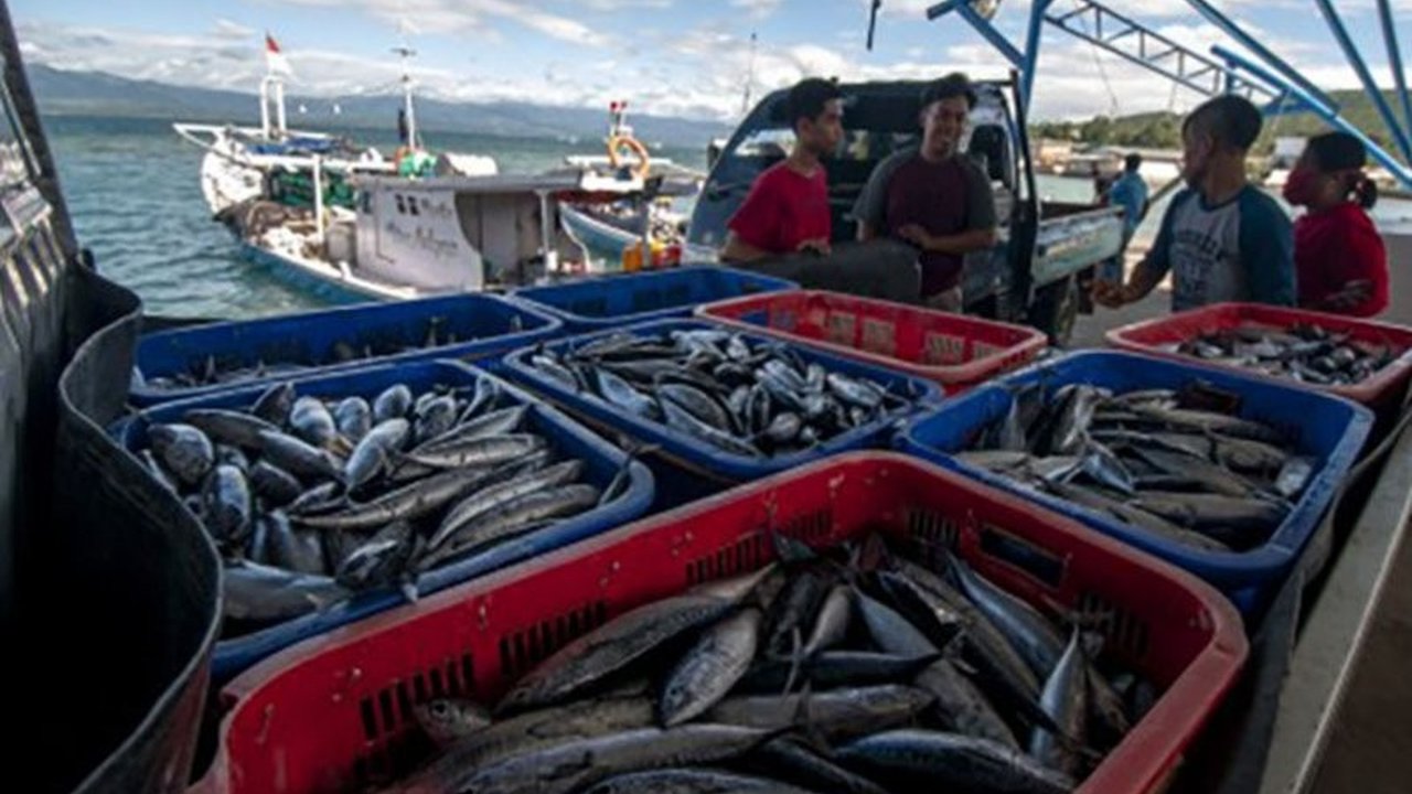 Ikatan Sarjana Perikanan Indonesia (ISPIKANI) Sulawesi Tengah siap berkolaborasi dengan pemerintah daerah untuk memajukan sektor kelautan dan perikanan, meningkatkan kesejahteraan masyarakat pesisir, dan mendorong pertumbuhan UMKM.