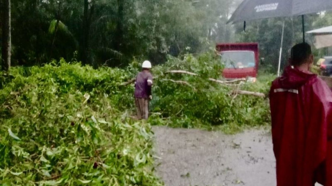 Pemkot Batam melalui Disperkimtan dan Disdamkarmat bergerak cepat menangani pohon tumbang pasca hujan deras dan angin kencang yang melanda Batam pada Rabu (19/3), memastikan keamanan dan kelancaran lalu lintas.