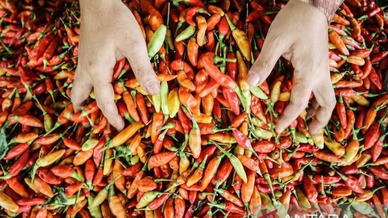 PIHPS mencatat harga cabai rawit merah mencapai Rp89.200 per kg dan bawang merah Rp45.550 per kg di tingkat pedagang eceran nasional pada Kamis, 20 Maret 2024.