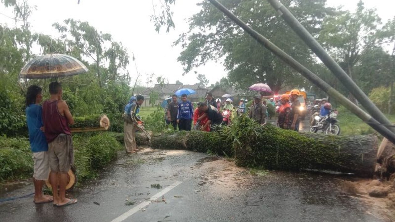 BPBD Jember mengimbau warga untuk mewaspadai cuaca ekstrem dan potensi bencana hidrometeorologi selama sepekan ke depan setelah beberapa kejadian pohon tumbang dan rumah rusak akibat cuaca buruk.