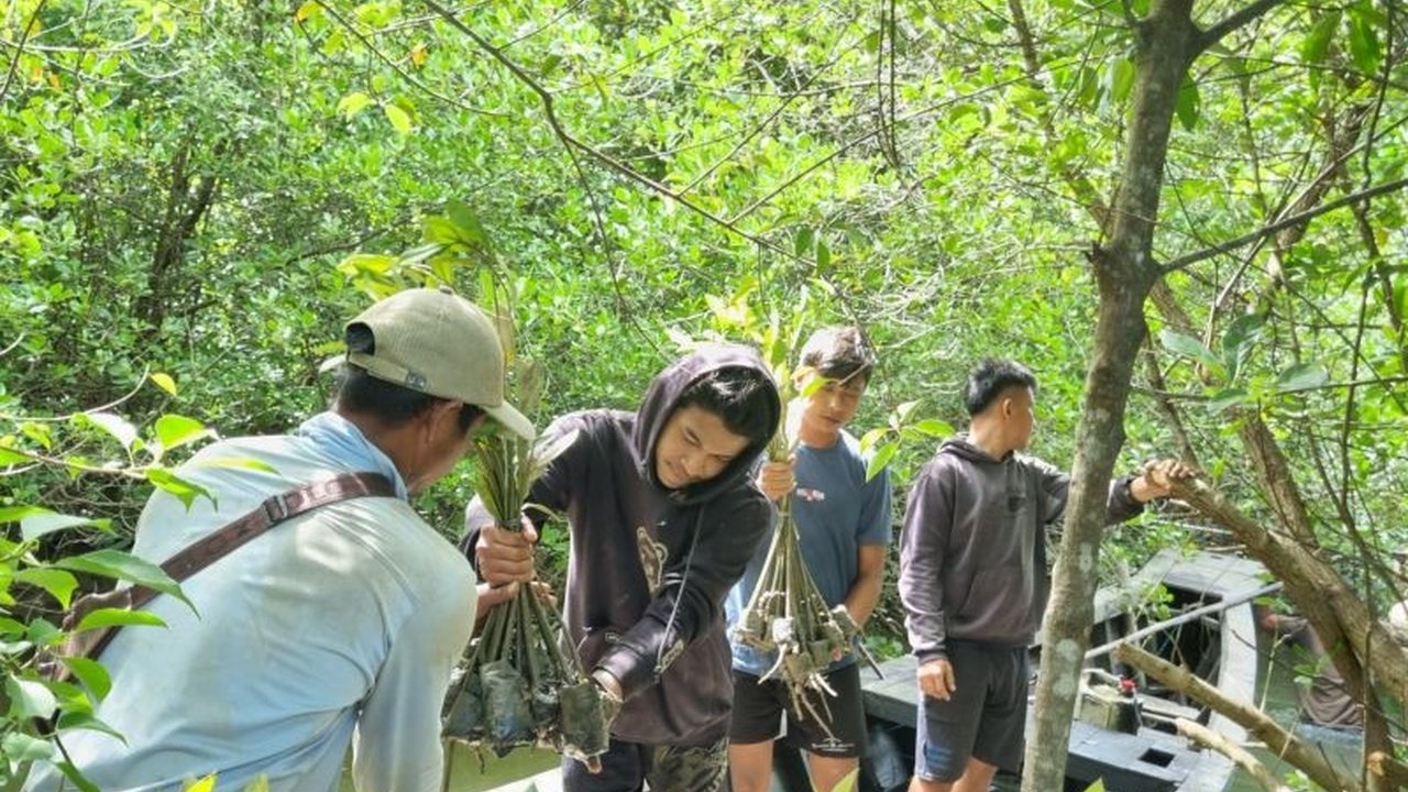 Badan Restorasi Gambut dan Mangrove (BRGM) telah berhasil memulihkan 1,6 juta hektare lahan gambut dan 84 ribu hektare mangrove di Indonesia dari tahun 2016 hingga 2024, serta menciptakan lapangan kerja bagi puluhan ribu masyarakat.
