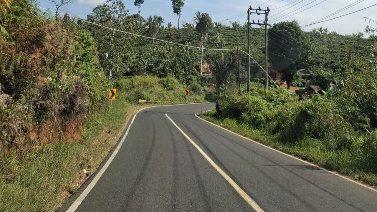 BPJN Lampung telah memetakan 39 titik rawan longsor di sejumlah ruas jalan nasional, guna memastikan keamanan dan kelancaran mudik Lebaran 2025.