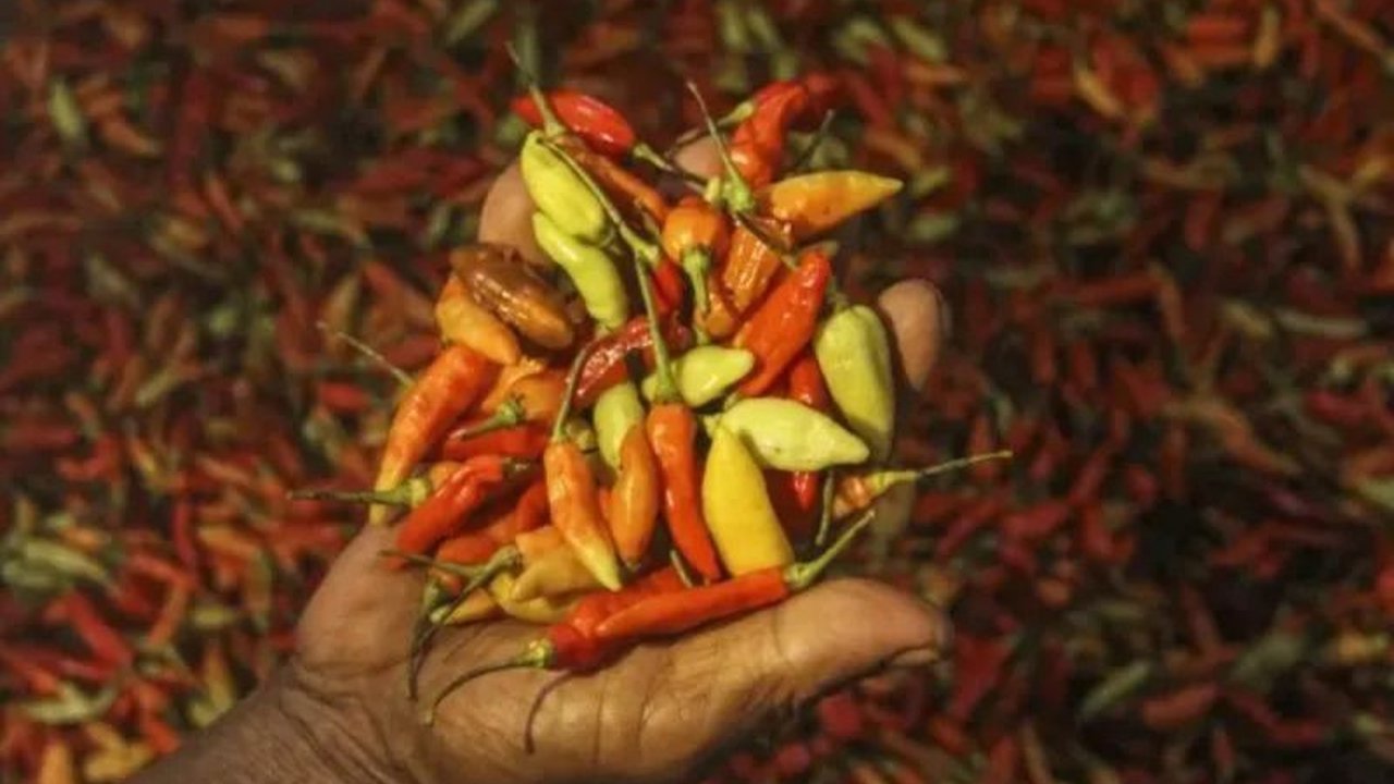 Pusat Informasi Harga Pangan Strategis (PIHPS) mencatat harga cabai rawit merah mencapai Rp85.250 per kg dan bawang merah Rp42.050 per kg di tingkat pedagang eceran nasional.