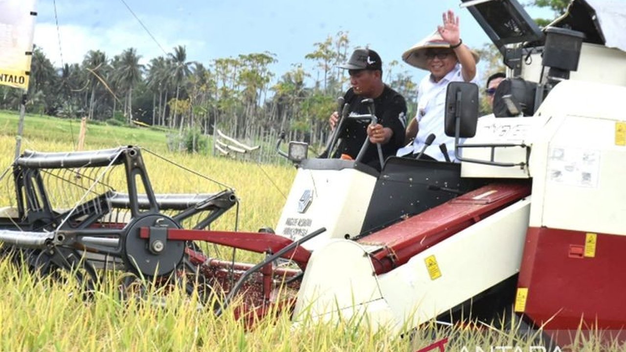 Bupati Gorontalo, Sofyan Puhi, memuji langkah Bulog dalam menyerap gabah petani yang memberikan kepastian harga dan menstabilkan harga pangan di Gorontalo.