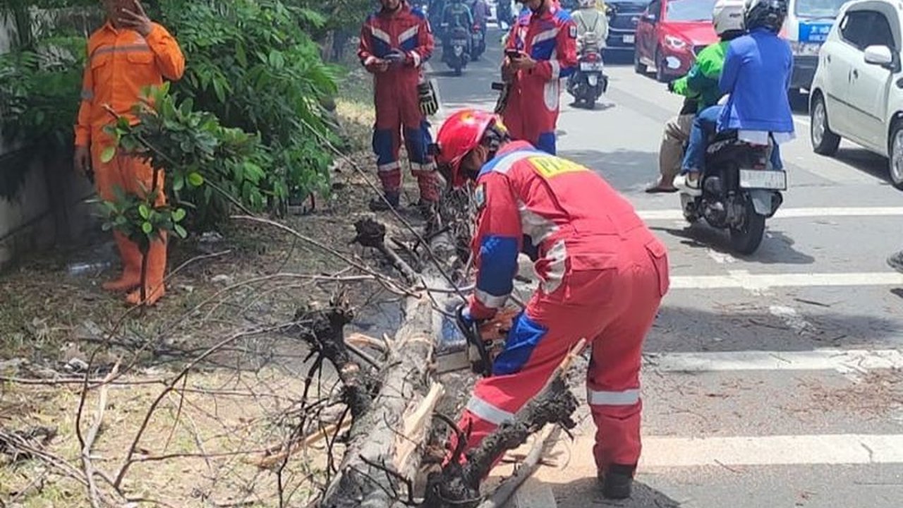 Sebuah pohon tumbang di Kembangan, Jakarta Barat, menimpa seorang pengendara motor dan menyebabkan luka parah di kepala, petugas Damkar telah berhasil mengevakuasi pohon tersebut.