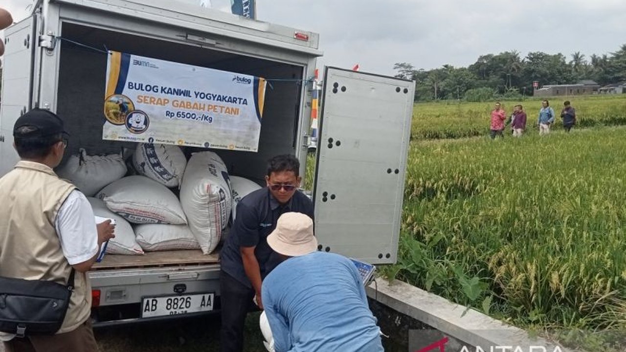 Bulog kini hadir langsung ke petani untuk menyerap gabah, memastikan harga pembelian sesuai Harga Pembelian Pemerintah (HPP) dan mencegah penurunan harga panen.