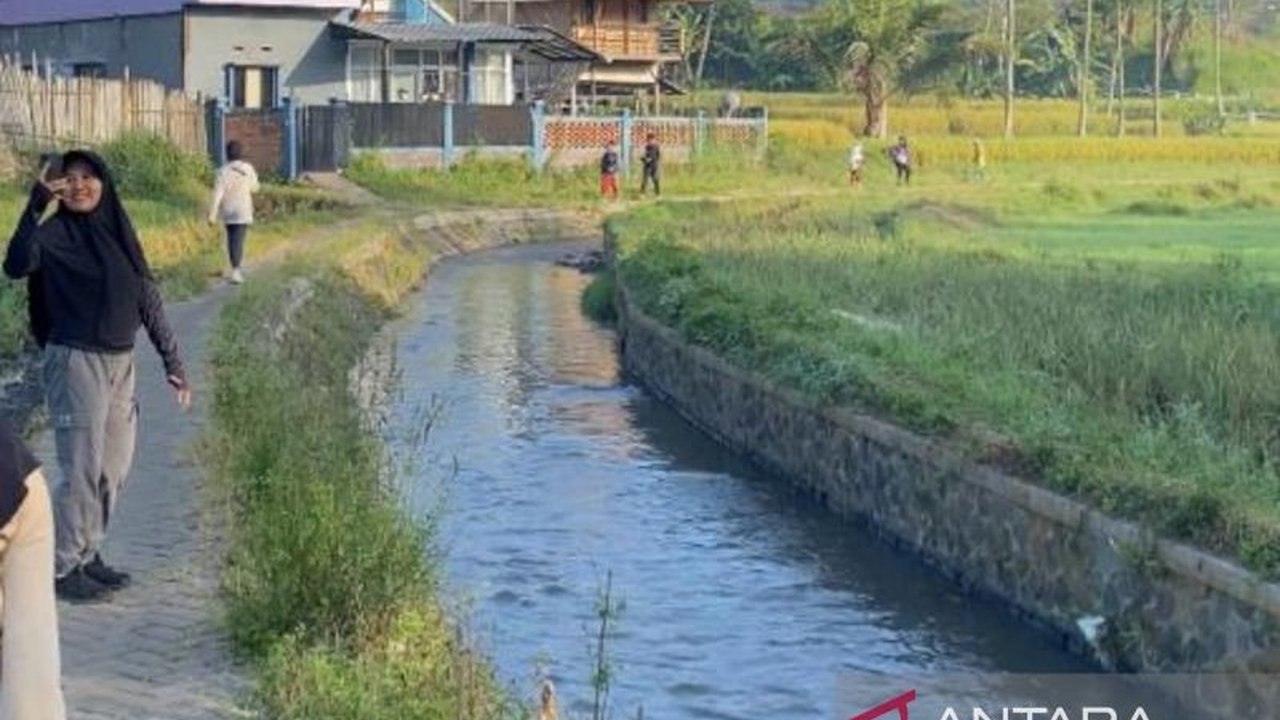 Krisis iklim mengancam sektor pertanian Indonesia; pengelolaan air yang buruk dan perubahan iklim menyebabkan gagal panen, mengancam ketahanan pangan nasional.