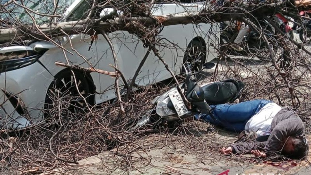 Kecelakaan di Jalan Pesanggrahan, Jakarta Barat, Jumat siang, mengakibatkan seorang pemotor luka parah setelah tertimpa pohon tumbang yang kondisinya sudah kering dan rapuh.