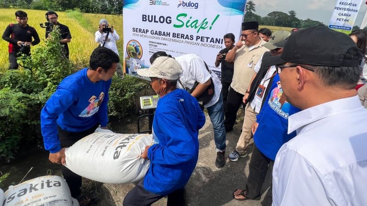 Bulog, bersama TNI-Polri dan pemerintah daerah, mengawal penyerapan gabah petani dengan harga pembelian pemerintah (HPP) Rp6.500 per kg untuk menjamin kesejahteraan petani.
