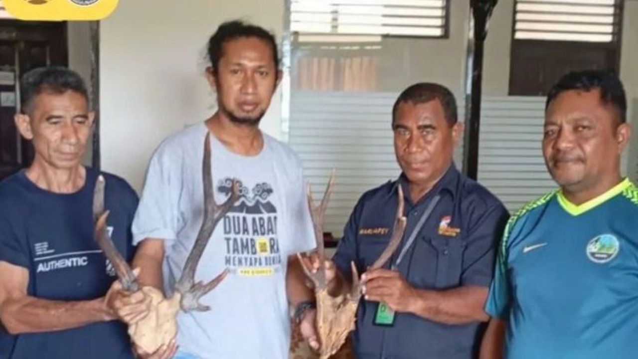 Balai Konservasi Sumber Daya Alam (BKSDA) Maluku menyita dua opsetan tanduk rusa yang hendak diselundupkan ke Jakarta melalui Pelabuhan Yos Sudarso Ambon,  mengingatkan pentingnya perlindungan satwa liar Indonesia.