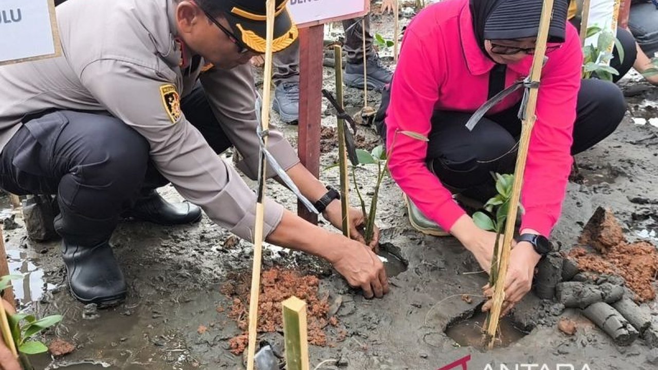 Polresta Bengkulu Tanam 6.000 Bibit Mangrove: Upaya Lestarikan Lingkungan dan Cegah Abrasi