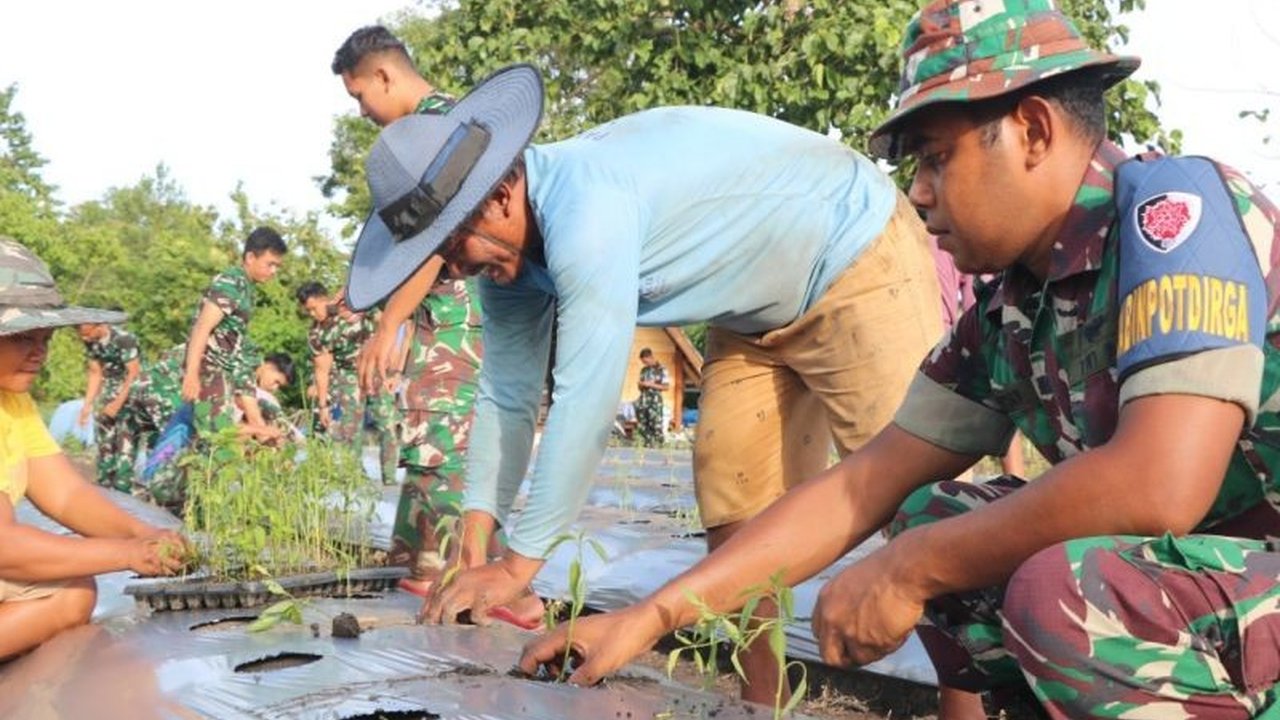 Lanud Silas Papare di Jayapura, Papua, menanam cabai dan semangka untuk mendukung ketahanan pangan nasional dan kesejahteraan prajurit serta masyarakat sekitar.