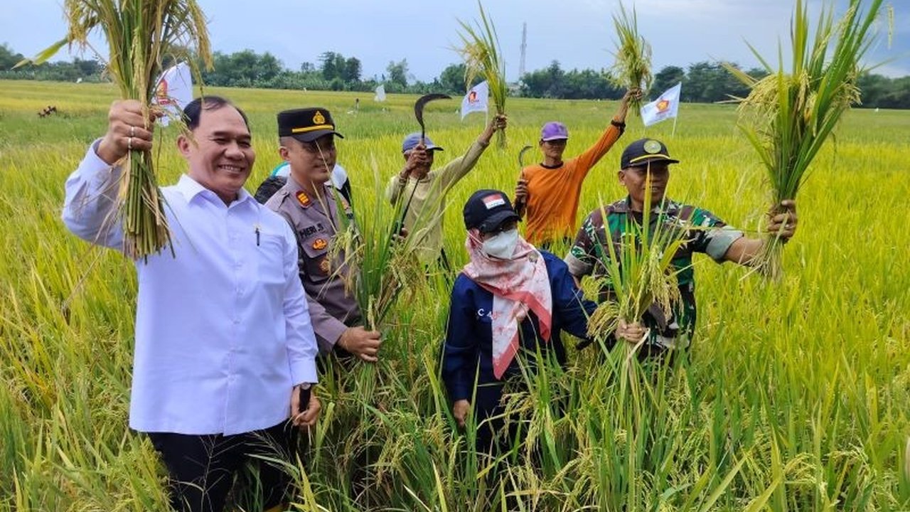 Komisi VII DPR RI memberikan apresiasi atas keberhasilan panen padi di Tarik, Sidoarjo, yang mencapai 9 ton gabah per hektare, melampaui target pemerintah dan menghasilkan surplus untuk kebutuhan daerah.