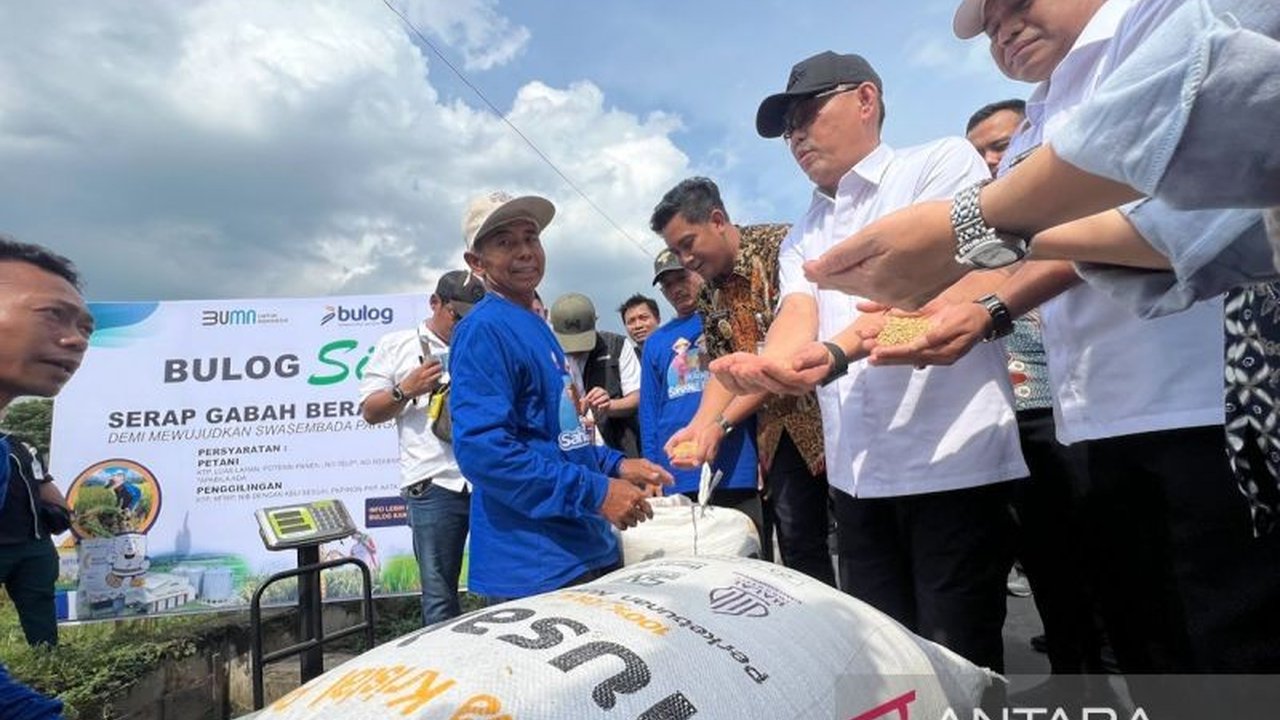 Bulog Minta Petani Jaga Kualitas Gabah untuk Efisiensi Pengolahan