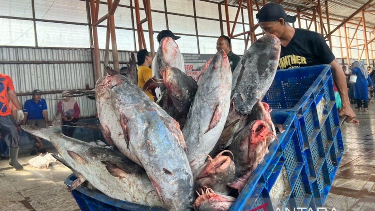 Kementerian Kelautan dan Perikanan (KKP) menekankan pentingnya penangkapan ikan terukur dan Cara Penanganan Ikan yang Baik (CPIB) untuk meningkatkan daya saing produk perikanan Indonesia di pasar global.