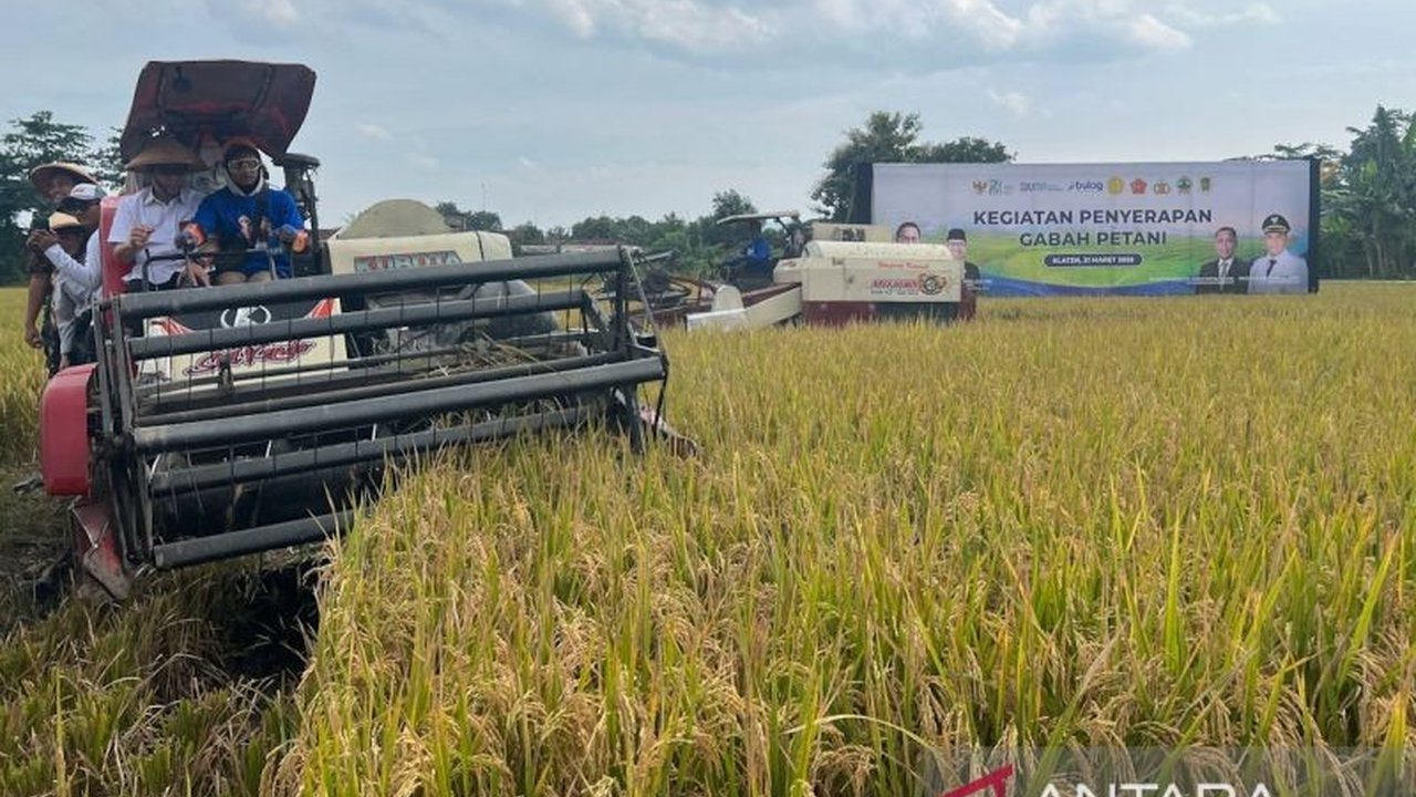 Badan Pangan Nasional (Bapanas) mengajak pemerintah daerah mengawasi kualitas gabah untuk penyerapan Bulog, demi menjaga stok pangan dan kesejahteraan petani.