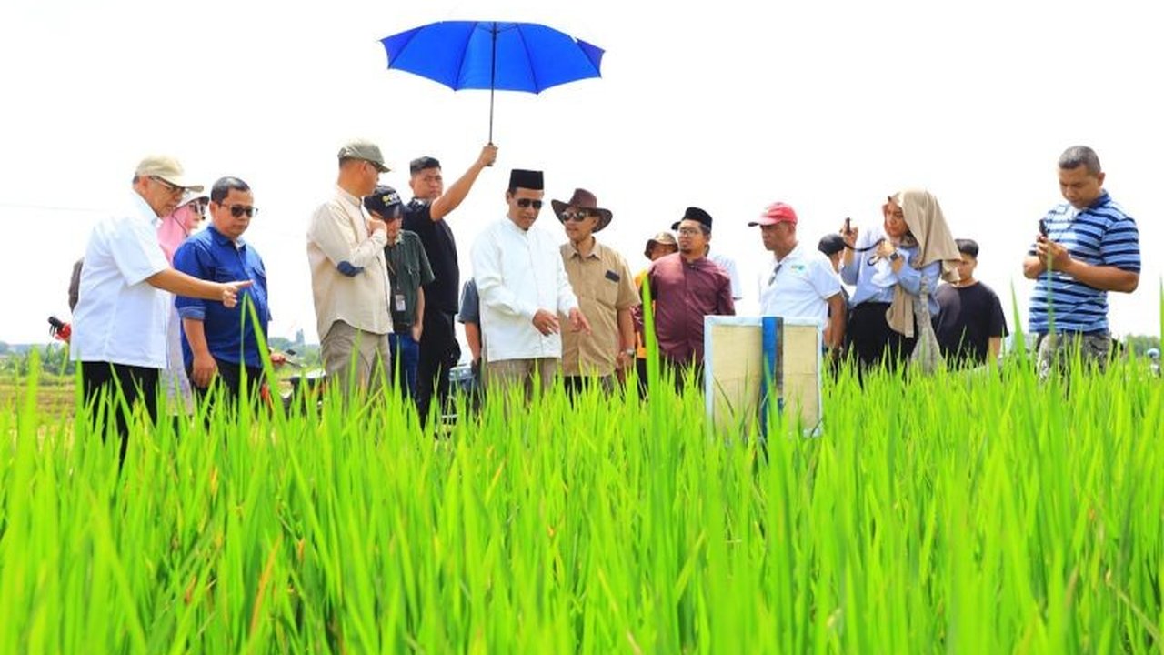 Mentan Andi Amran Sulaiman optimis bahwa inovasi sistem tanam padi Jajar Legowo akan menjadi solusi untuk meningkatkan produktivitas dan ketahanan pangan Indonesia di tengah perubahan iklim.
