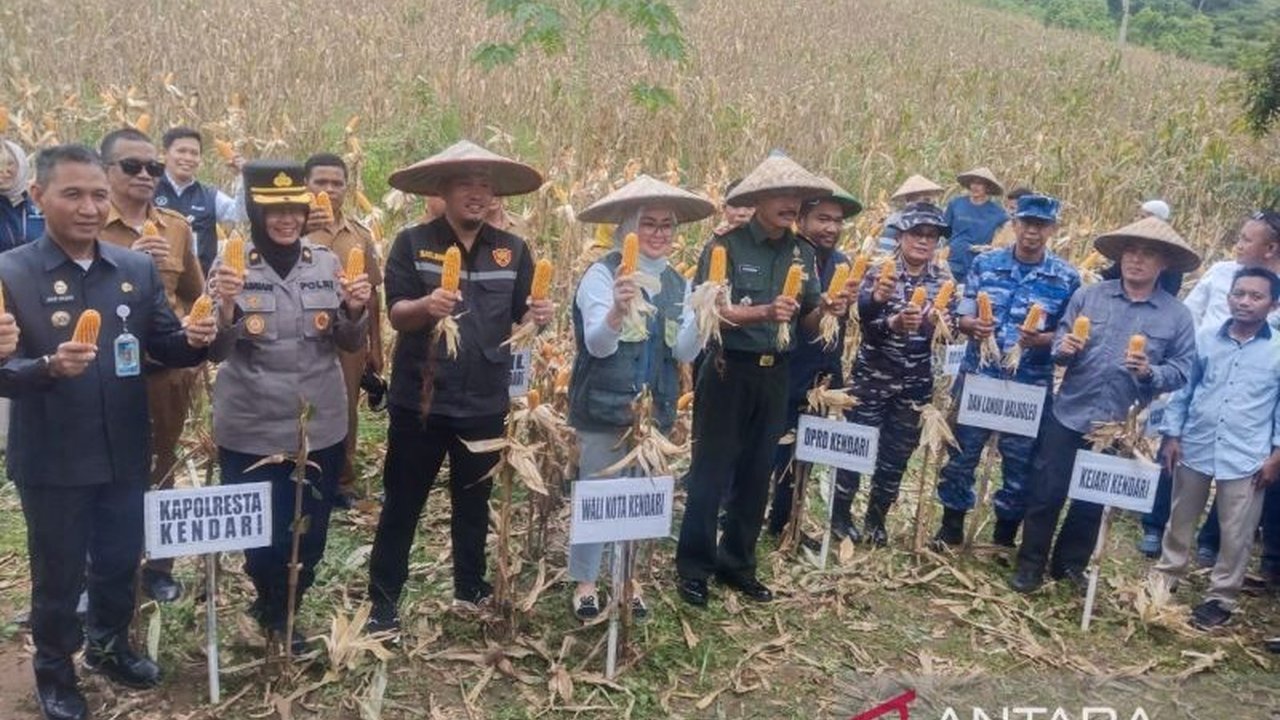 Pemkot Kendari berhasil panen 14 ton jagung dari lahan binaan seluas dua hektare, langkah strategis untuk mendukung ketahanan pangan dan kesejahteraan petani.
