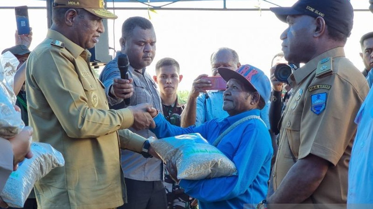 Kementan Siapkan 4 Ton Benih Padi untuk Manokwari, Dorong Swasembada Pangan