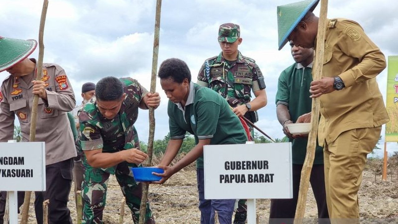Papua Barat Tanam Perdana Padi Gogo 200 Hektare, Wujudkan Swasembada Pangan