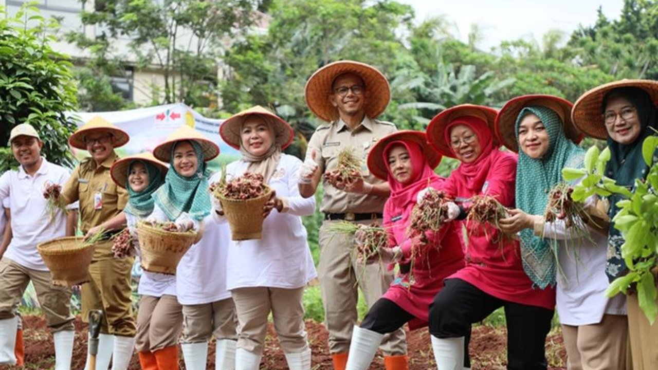 KPKP Jaksel dan PKK Jakarta Selatan berhasil panen raya 1.250 kg bawang merah dari program urban farming, menekan inflasi dan meningkatkan ketahanan pangan.