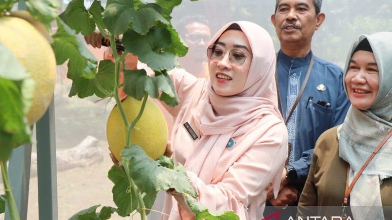 Pemkot Pekalongan Dorong Pertanian Cerdas, Gaet Generasi Muda Kembali ke Sawah