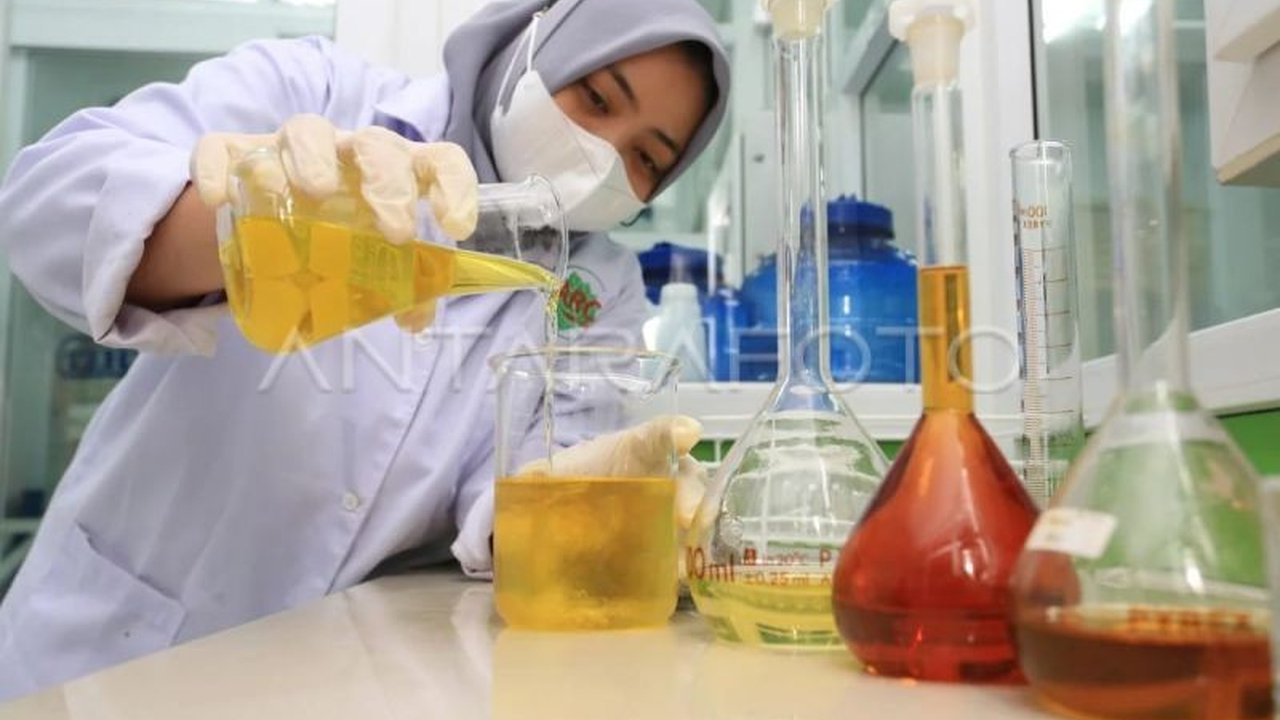 Indonesia, penguasa 90 persen pasar minyak nilam global, menghadapi tantangan fluktuasi harga, penyakit tanaman, dan sertifikasi untuk mempertahankan dominasinya di industri parfum dunia.