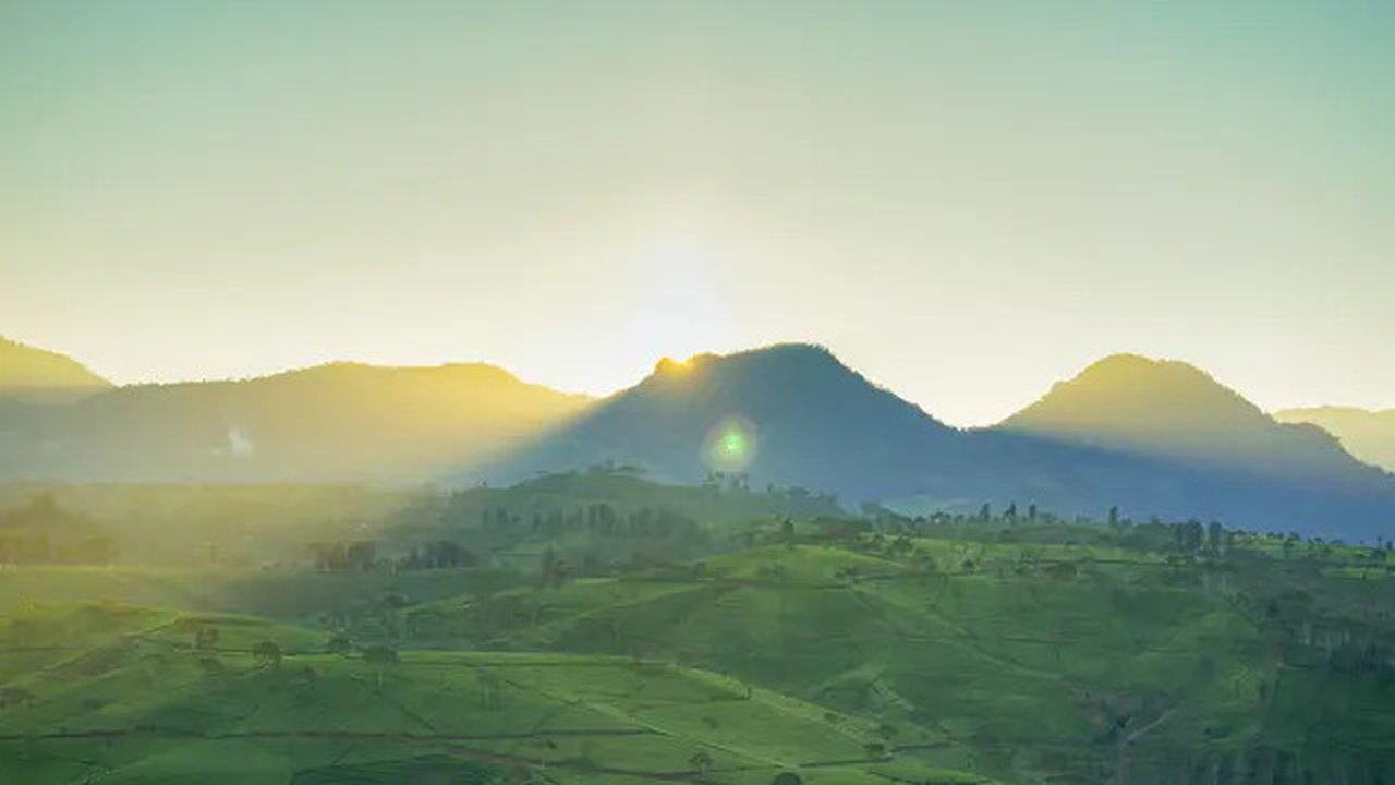 Ilustrasi tempat wisata di Pangalengan. (Photo by bady abbas on Unsplash)