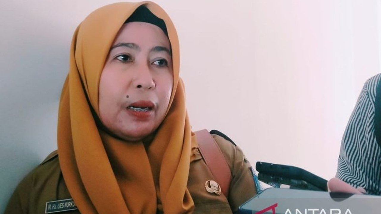 Dinas PUPR NTB memastikan infrastruktur jalan di Pulau Lombok dan Sumbawa siap dilalui pemudik Lebaran, meskipun beberapa titik masih dalam tahap pemeliharaan.