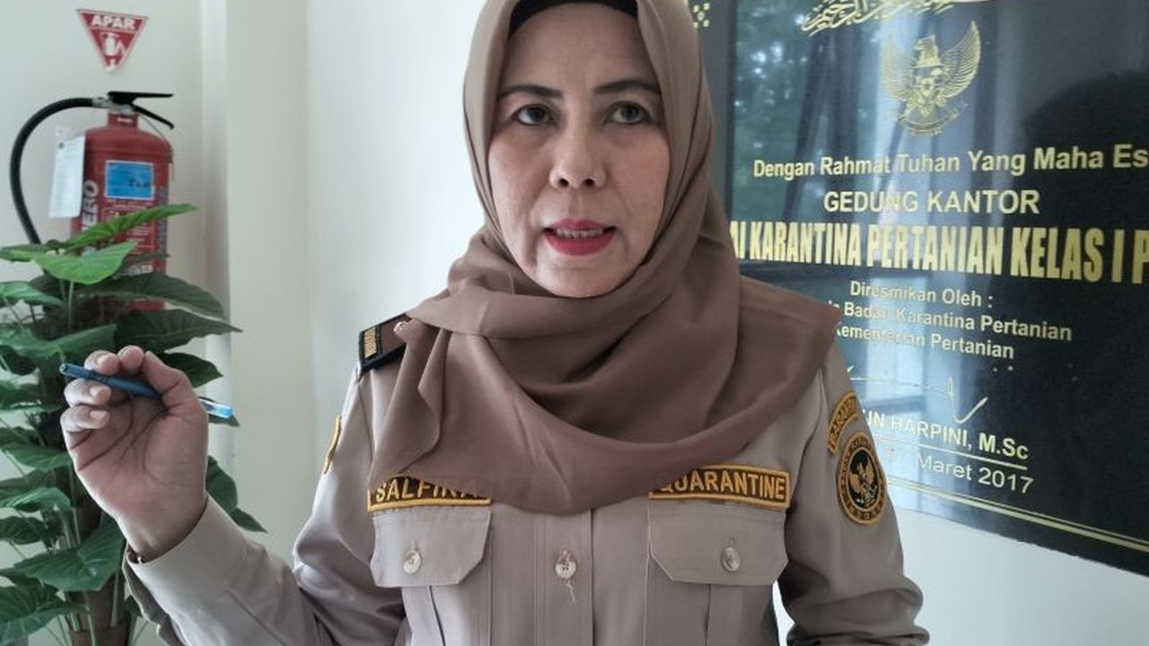 Sumatera Barat Ekspor 46 Ton Hasil Laut di Triwulan I-2025