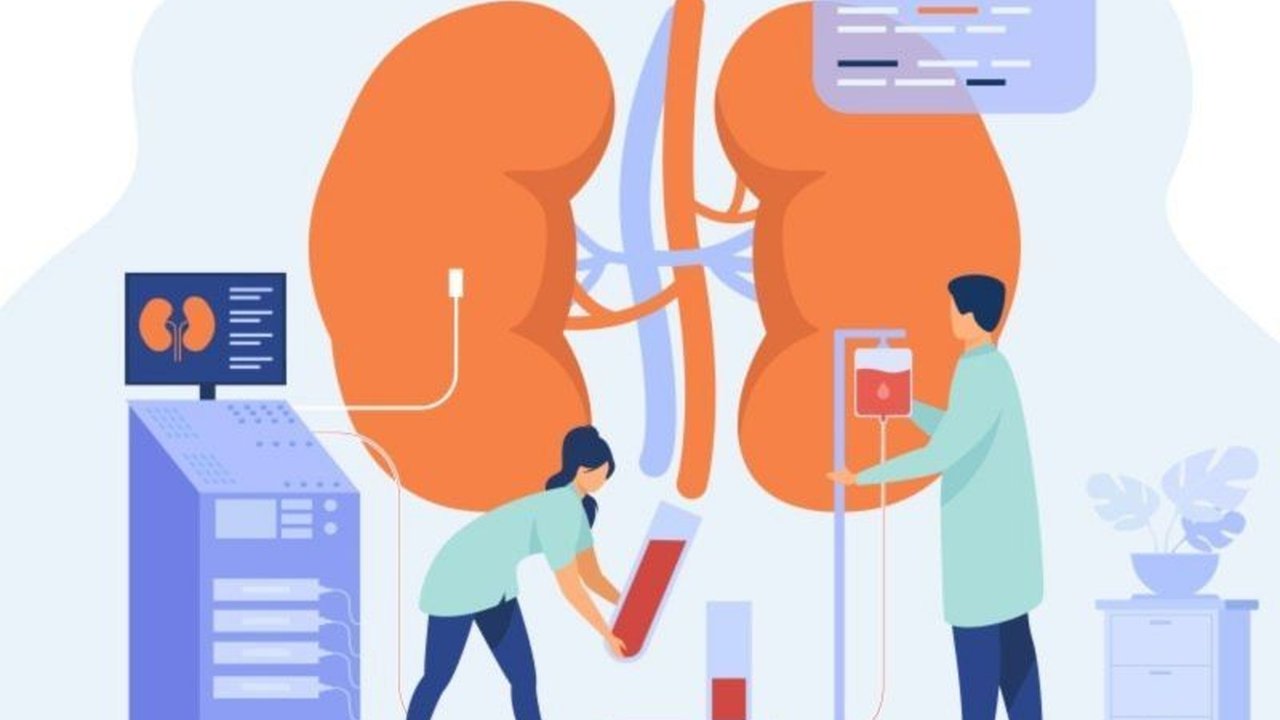 Rendahnya kesadaran masyarakat dan optimalisasi regulasi yang kurang memadai menyebabkan peningkatan kasus penyakit ginjal di Indonesia, menurut dokter spesialis penyakit dalam Rumah Sakit Penyakit Infeksi Sulianti Saroso.