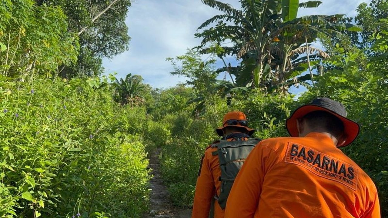 SAR Buton Cari Anak Hilang di Hutan, Pencarian Hari Kedua Belum Membuahkan Hasil