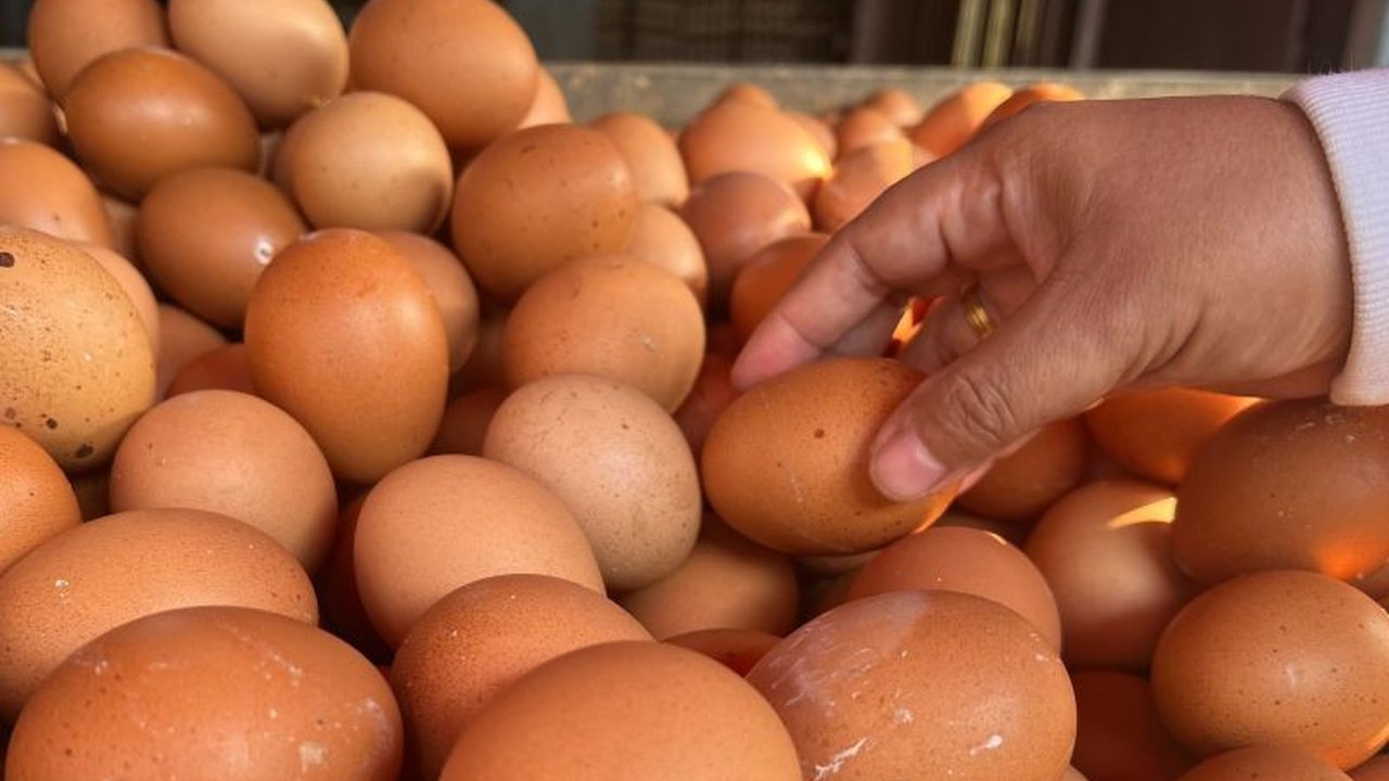 Pusat Informasi Harga Pangan Strategis (PIHPS) mencatat harga telur ayam Rp29.500 per kg dan cabai rawit Rp97.150 per kg, serta komoditas pangan lainnya di tingkat pedagang eceran nasional.