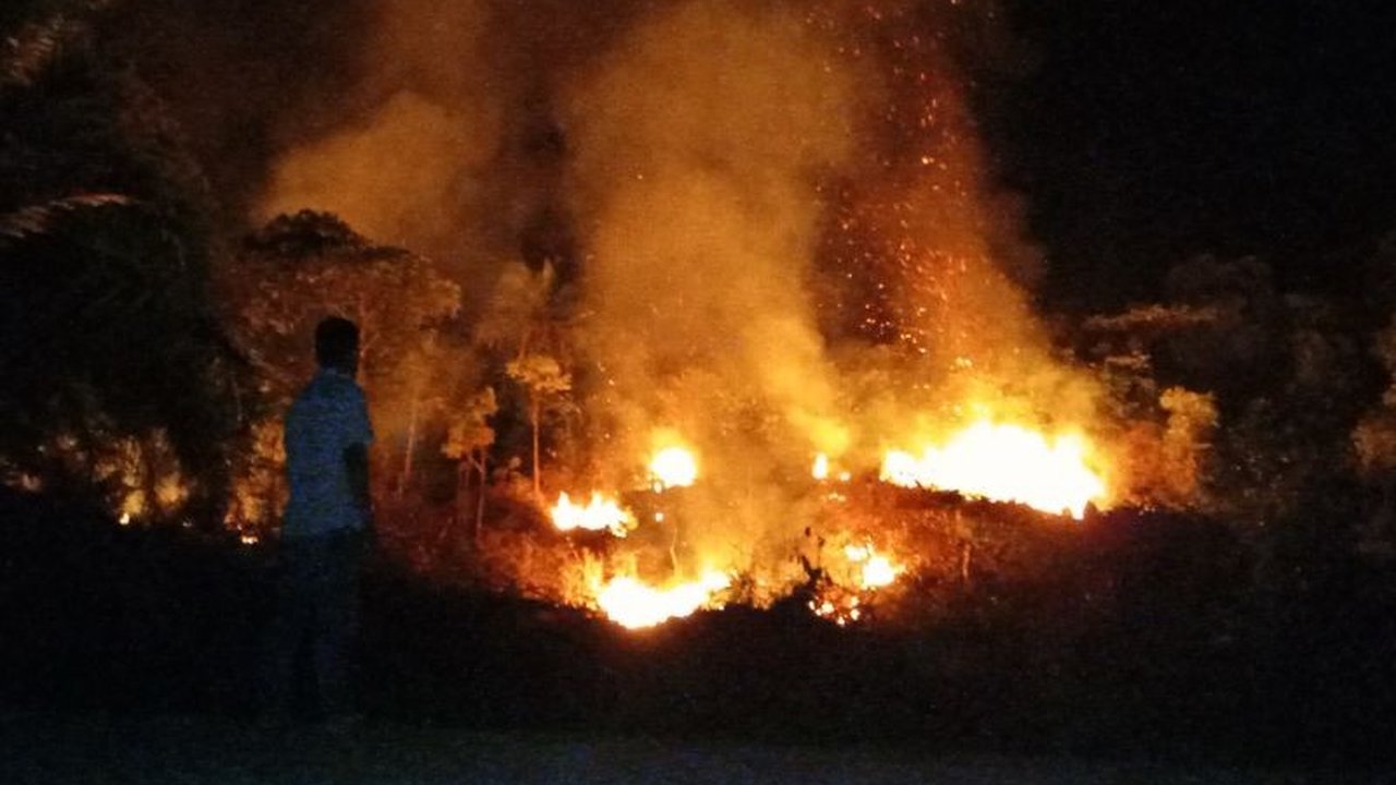 Kebakaran Lahan di Aceh Barat Padam, BPBD Pastikan Tidak Menjalar