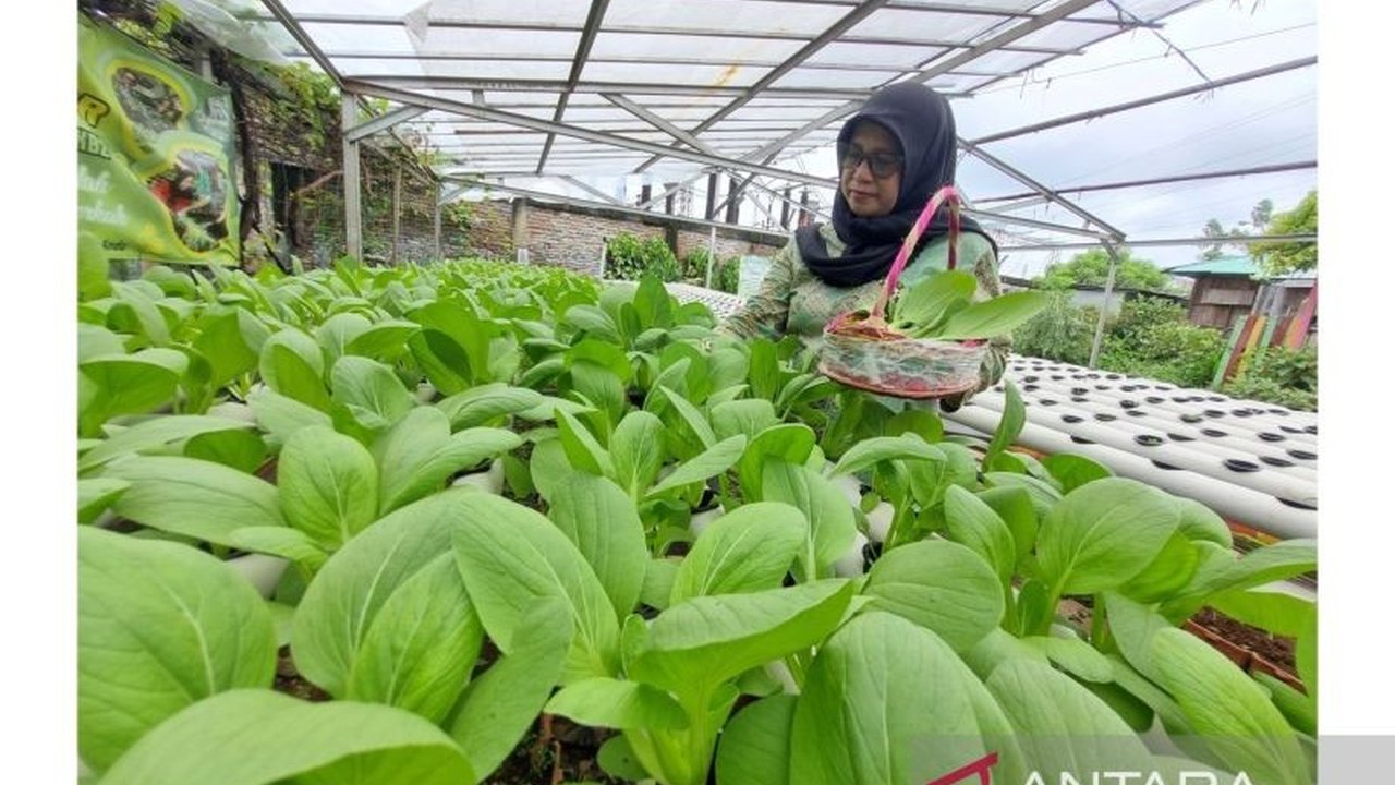 Dari rawa tak terpakai, Kampung Jimpitan di Tangerang bertransformasi menjadi kampung produktif dan mandiri berkat semangat gotong royong dan inovasi warga.