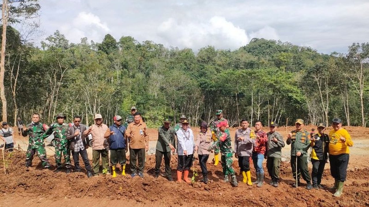 Forkopimcam Lengkong, Sukabumi, Jawa Barat, bersama warga melakukan reboisasi untuk mencegah longsor susulan setelah bencana tanah longsor menutup akses jalan pada 6 Maret lalu.