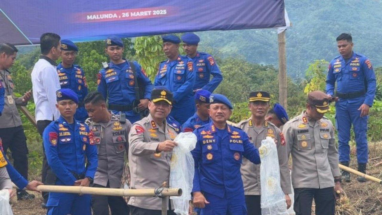 Kapolda Sulbar, Irjen Pol. Adang Ginanjar, menebar 70.000 benih udang vaname di Majene untuk mendukung ketahanan pangan dan meningkatkan perekonomian masyarakat setempat.