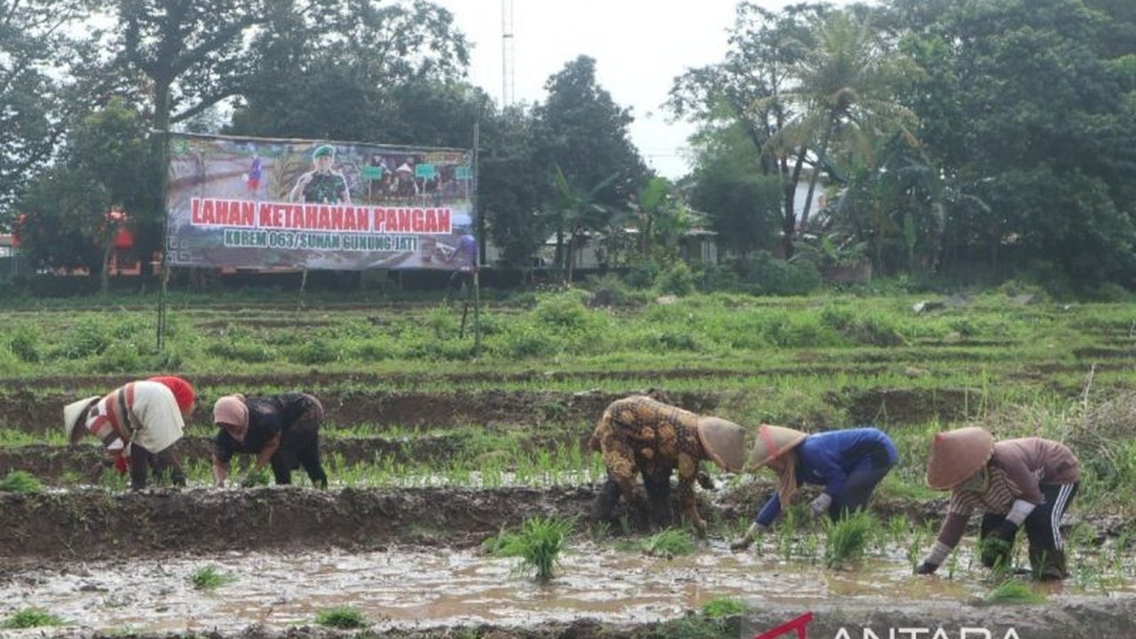 Pemerintah Kabupaten Kuningan gandeng TNI untuk percepat program Luas Tambah Tanam (LTT) padi, targetkan 75 ribu hektare pada 2025 guna peningkatan ketahanan pangan.
