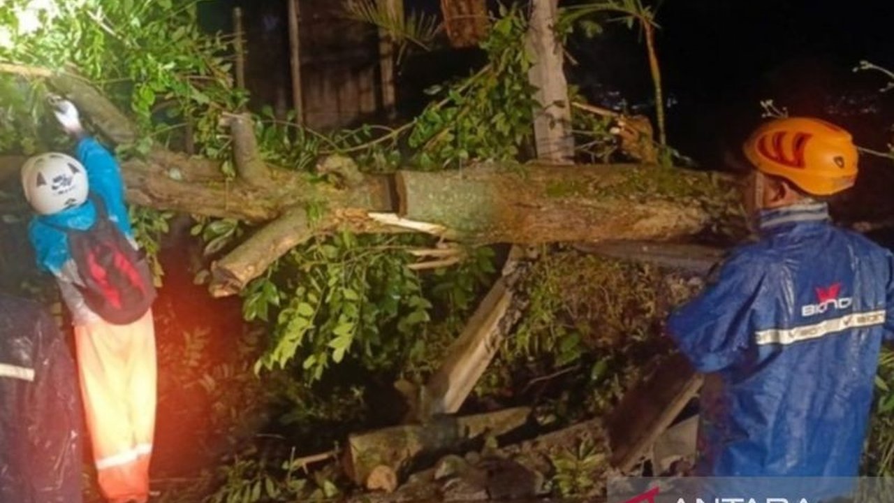 Badan Nasional Penanggulangan Bencana (BNPB) bergerak cepat menangani dampak angin kencang di Jawa Timur yang mengakibatkan korban jiwa dan kerusakan infrastruktur menjelang Idul Fitri 2025.